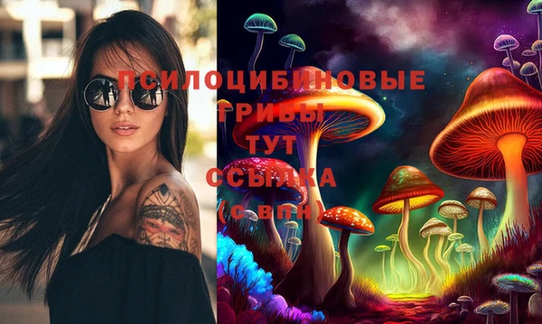тгк Абинск