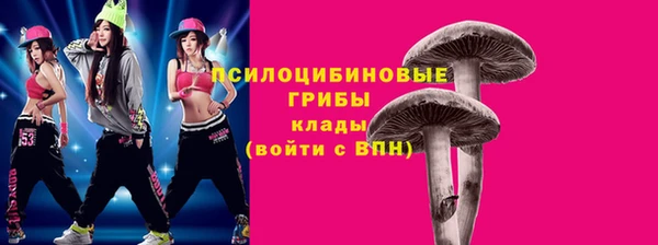 тгк Абинск