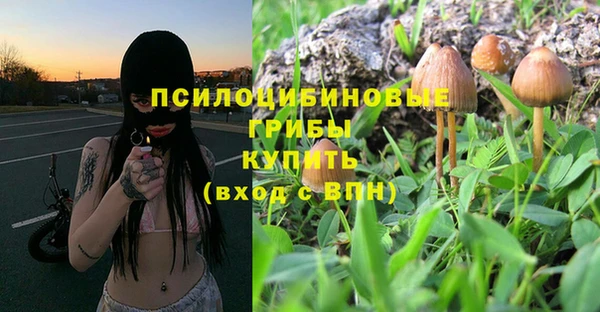 PSILOCYBIN Покровск