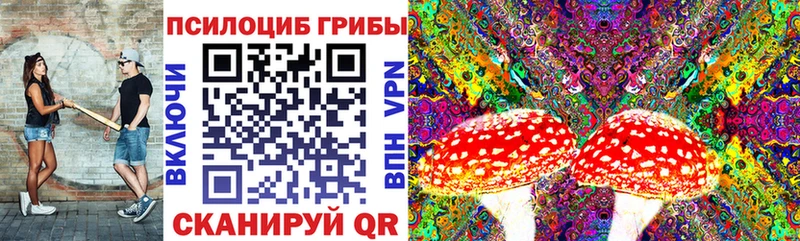 Галлюциногенные грибы Cubensis Кирсанов